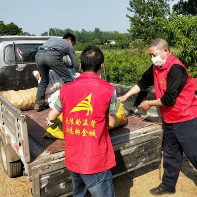 幫賣助農(nóng) 用愛扶貧——金城紅馬甲赴子陵采購愛心農(nóng)產(chǎn)品活動紀實